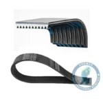 Correa DAYCO 1389047