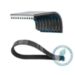 Correa DAYCO 1800522