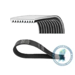 Correa Acanalada Fkn Moderno DAYCO 1742710