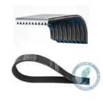 Correa Alternador Bomba de  Agua K380 DAYCO 1800538