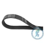 Correa Fkn DAYCO 1920231