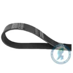 Correa Micro V DAYCO 8PK1548HD