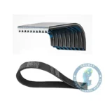 Correa Scania DAYCO 2447572